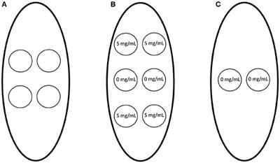 Localized Delivery of Cl-Amidine From Electrospun Polydioxanone Templates to Regulate Acute Neutrophil NETosis: A Preliminary Evaluation of the PAD4 Inhibitor for Tissue Engineering